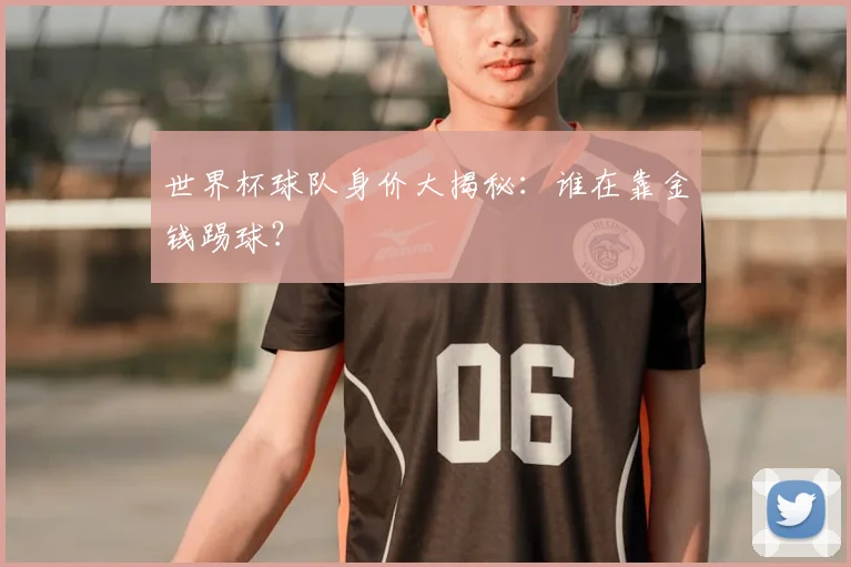 世界杯球队身价大揭秘：谁在靠金钱踢球？