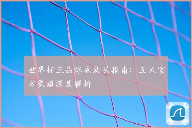 世界杯正品球衣购买指南：五大官方渠道深度解析