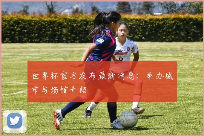 世界杯官方发布最新消息：举办城市与场馆介绍