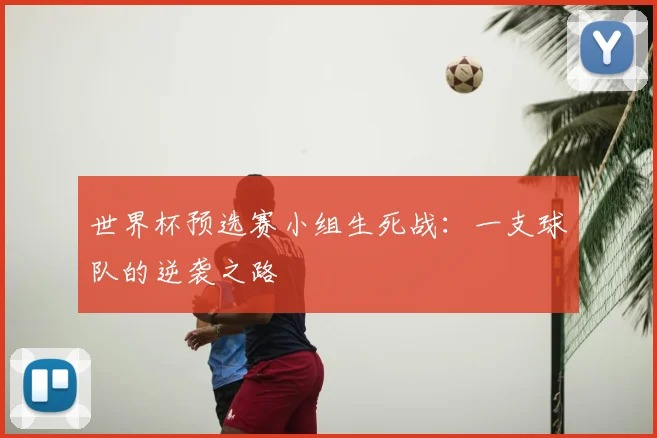 世界杯预选赛小组生死战：一支球队的逆袭之路