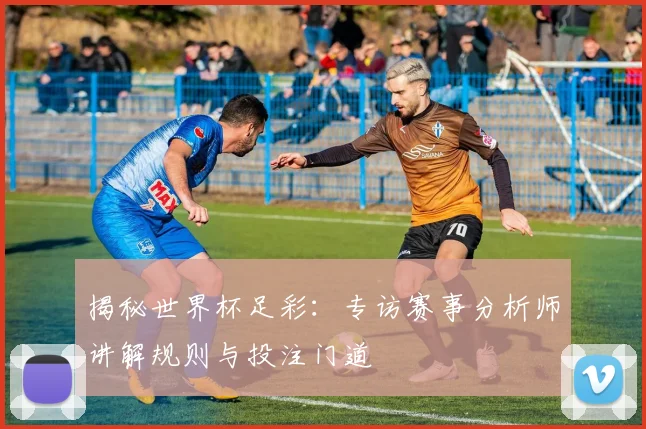 揭秘世界杯足彩：专访赛事分析师讲解规则与投注门道