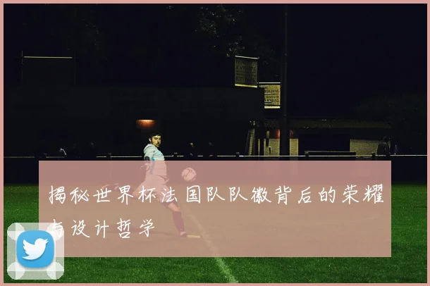 揭秘世界杯法国队队徽背后的荣耀与设计哲学